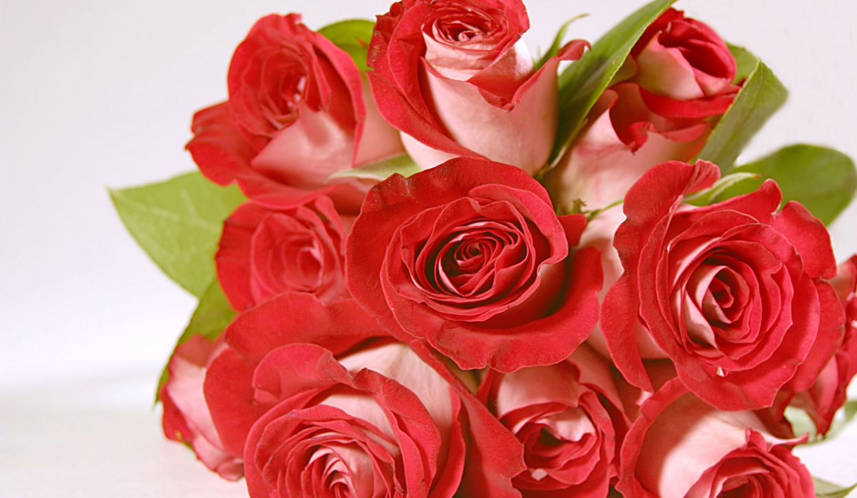 Поздравление Красивые Розы