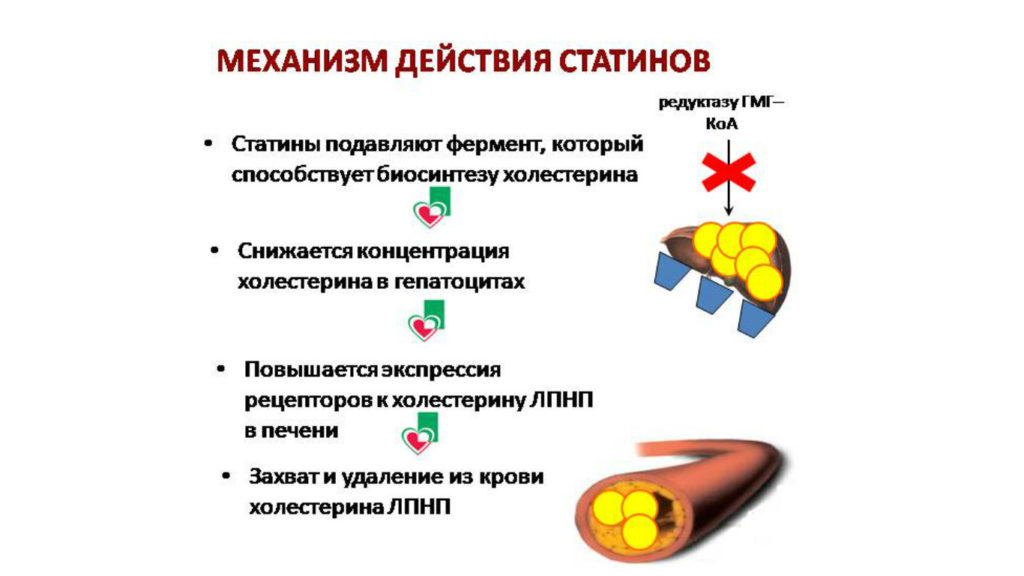 Статины от холестерина: польза и вред, как принимать