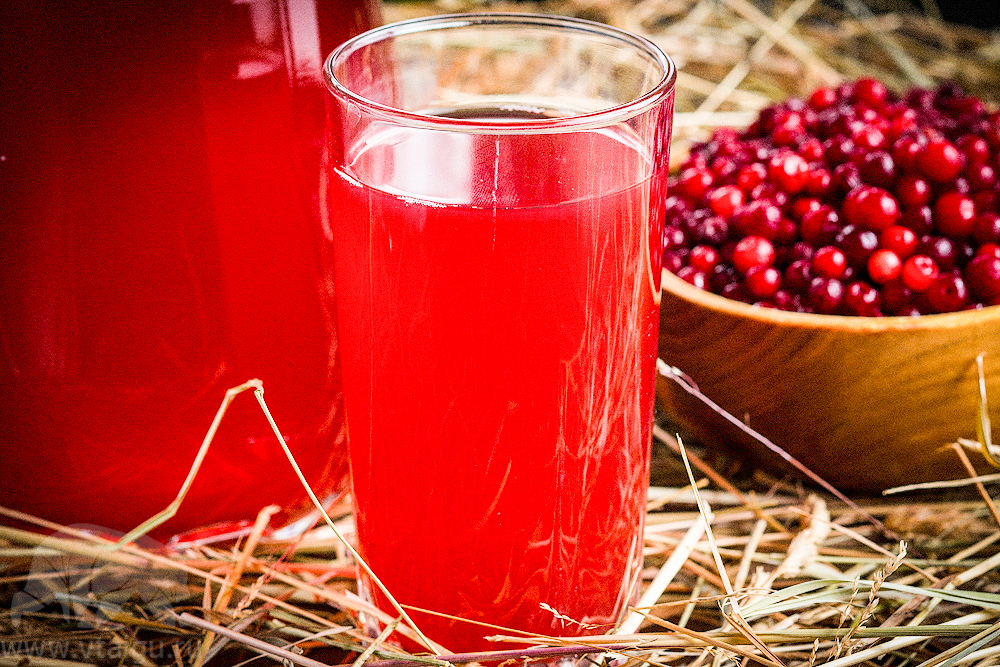 Морс из брусники – 7 рецептов