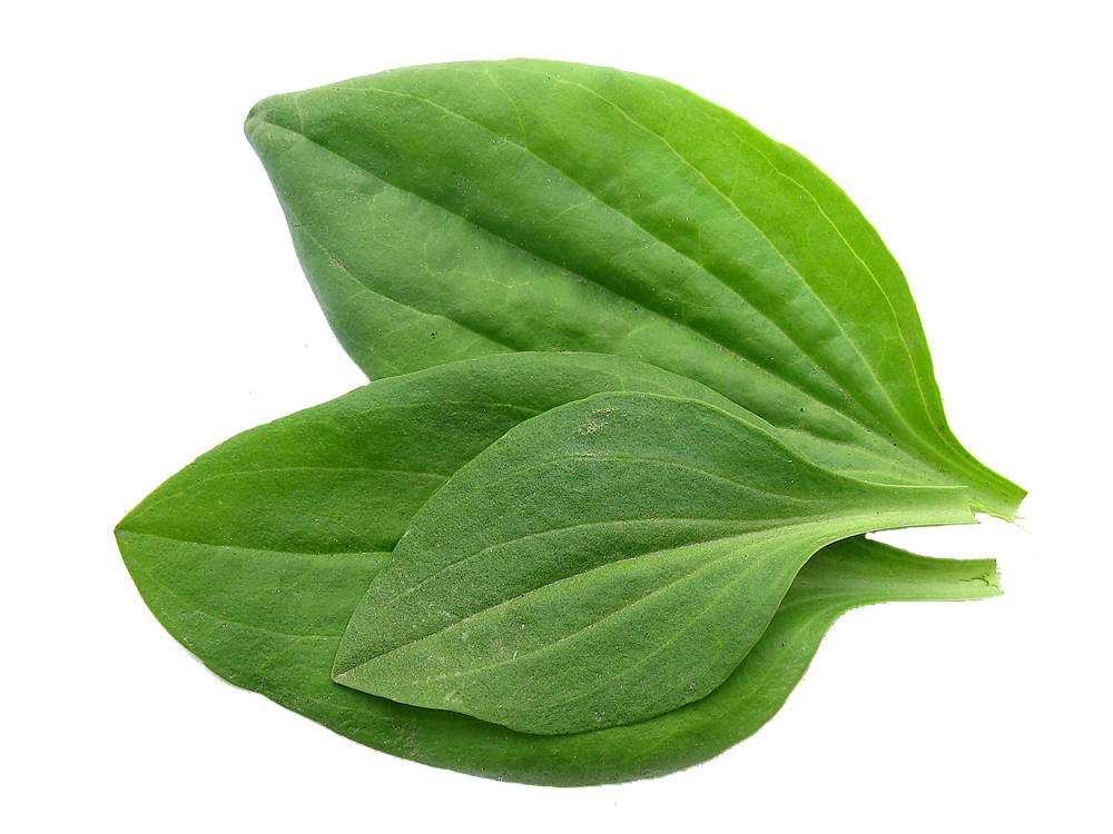 Статины от холестерина: польза и вред, как принимать