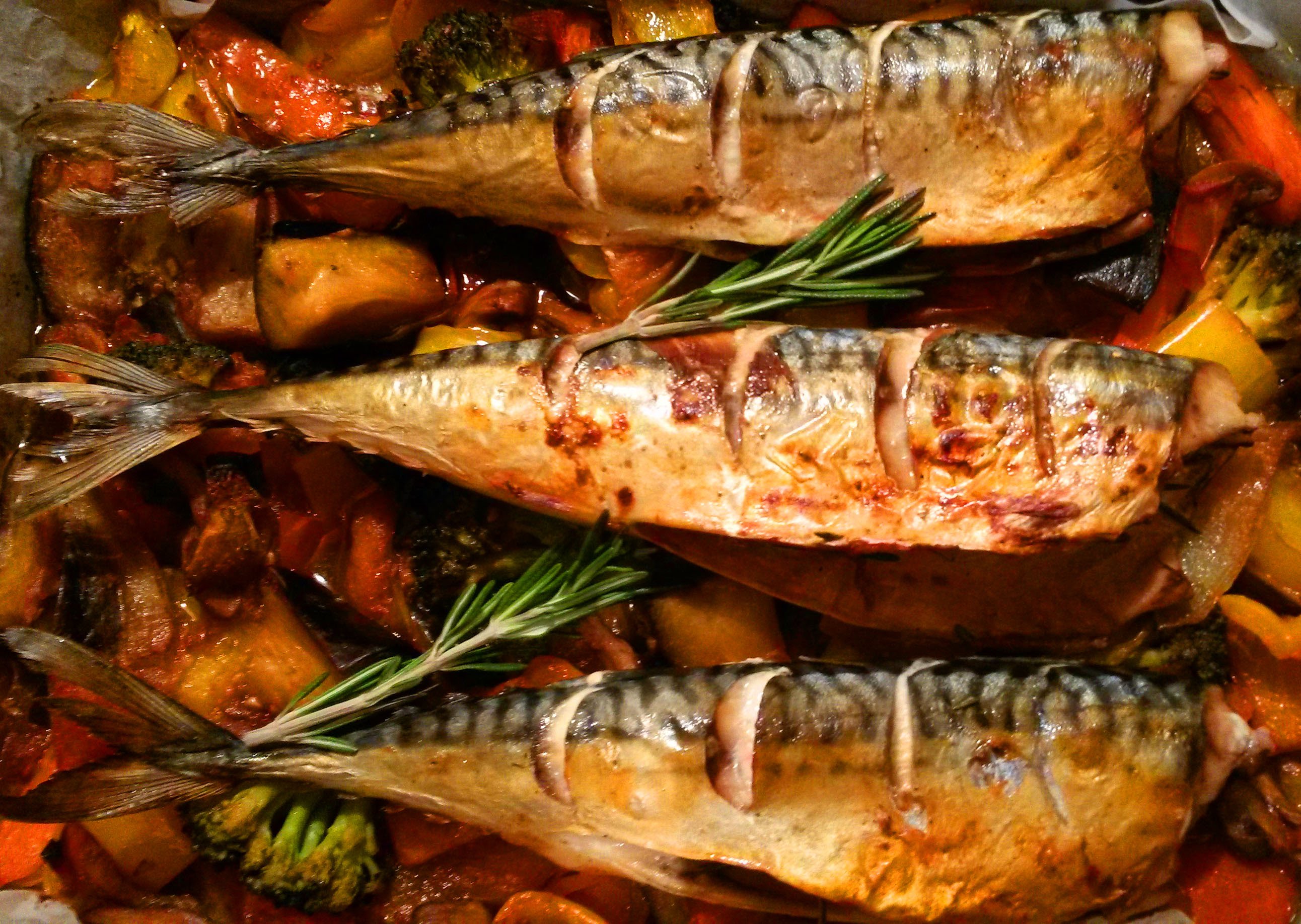Приготовить морскую рыбу вкусно. Рыба скумбрия в духовке. Скумбрия кусочквмизапеченная. Скумбрия запеченная в духовке с овощами. Скумбрия запеченная в духовке в фольге с овощами.
