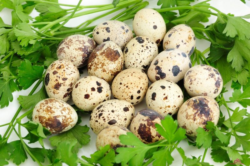 Перепелиные яйца польза для взрослых