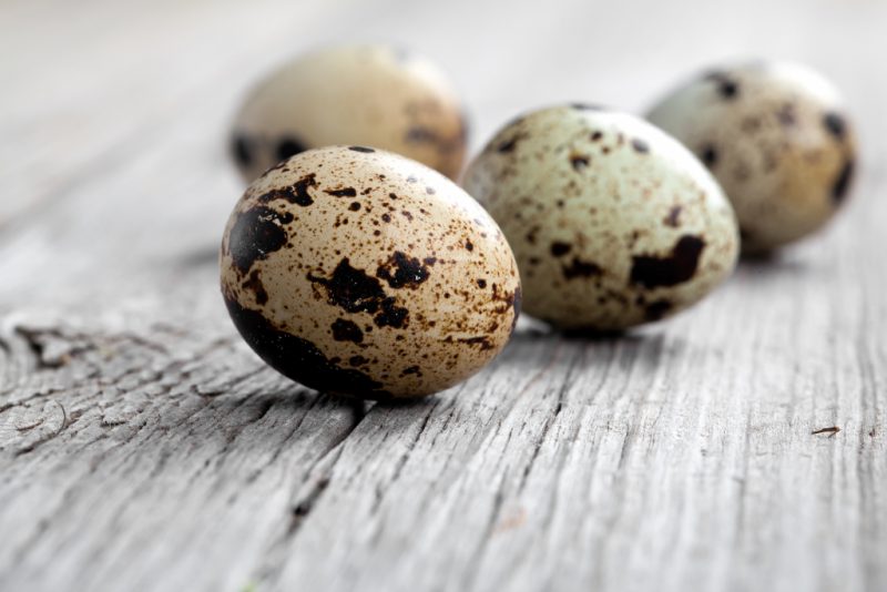 Перепелиные яйца польза и вред как принимать