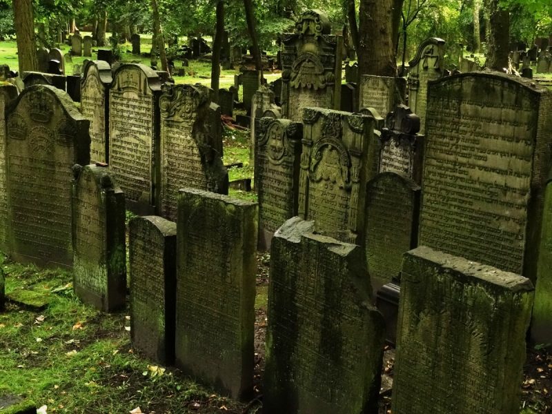 К чему снится кладбище во сне для женщины
