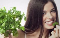 Кинза: польза и вред для здоровья женщины, полезные свойства и противопоказания