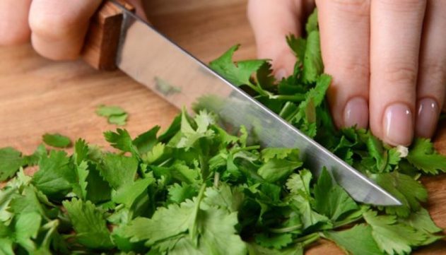 Кинза: польза и вред для здоровья женщины, полезные свойства и противопоказания