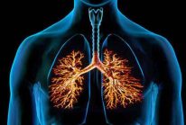 Подмор пчелиный: лечебные свойства для женщин, как принимать для суставов?