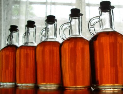 Кора дуба: лечебные свойства и противопоказания