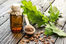 Кора дуба: лечебные свойства и противопоказания