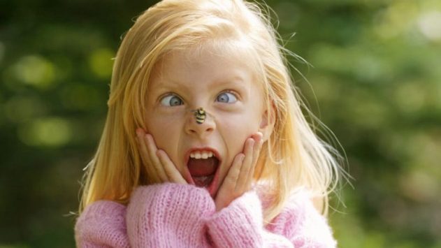 Подмор пчелиный: лечебные свойства для женщин, как принимать для суставов?