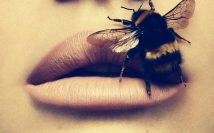 Подмор пчелиный: лечебные свойства для женщин, как принимать для суставов?