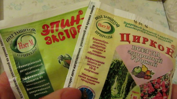 Циркон для растений — описание применения для комнатных растений
