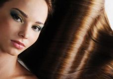 Кора дуба: лечебные свойства и противопоказания