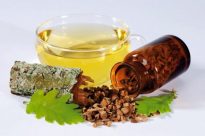 Кора дуба: лечебные свойства и противопоказания