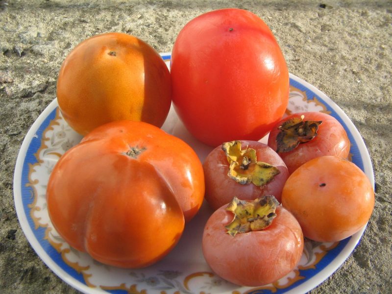 Хурма: польза и вред, полезные свойства для организма женщины