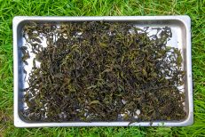 Копорский чай: полезные свойства и противопоказания