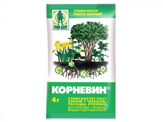 Корневин: инструкция по применению для комнатных растений