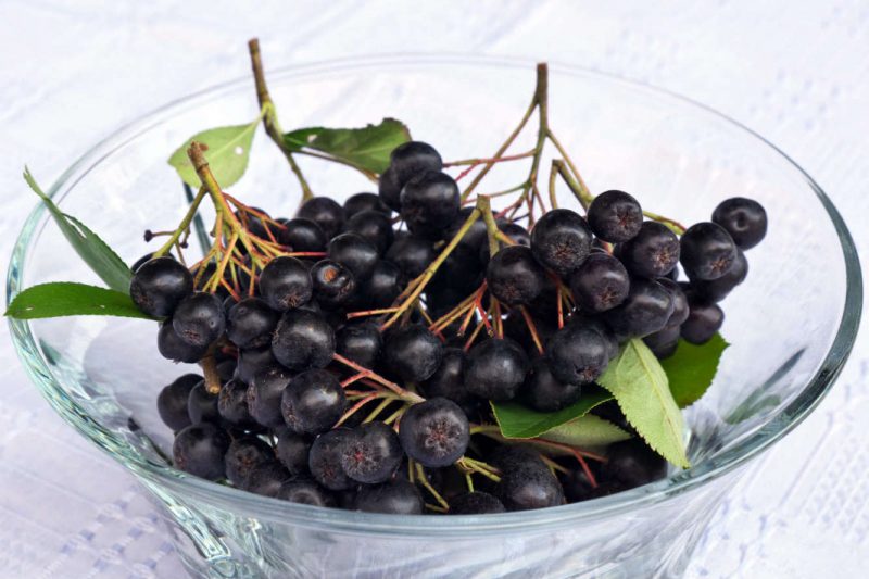 Настойка из черноплодной рябины: польза и вред, как приготовить на водке, самогоне и спирту