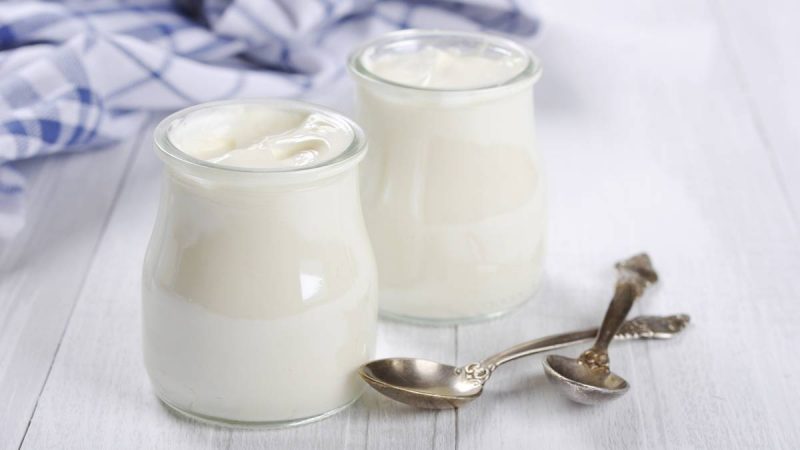 Как выглядит закваска для йогурта