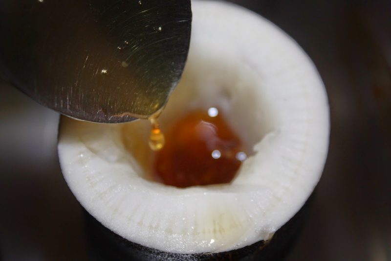 Как сделать сок черной редьки с медом от кашля