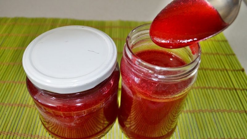 Калина с медом - полезные свойства и противопоказания