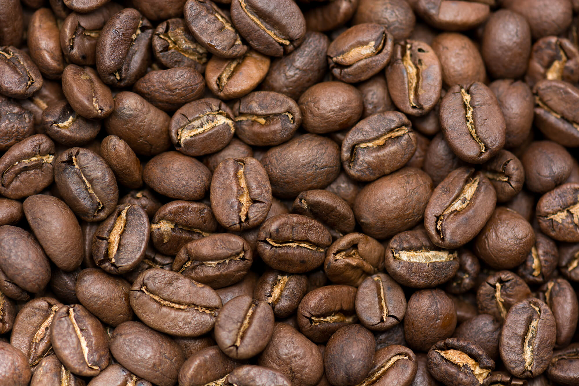 Как вырастить кофейные зерна. Кофе в зернах "Арабика Руанда умураджи 84 часа". Кофе зерновой Арабика и Робуста. Сорта кофе Арабика. Арабика Робуста Либерика.