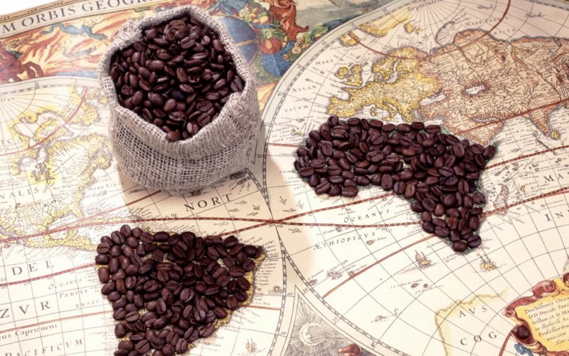 Хорошие сорта кофе названия: посадка и уход