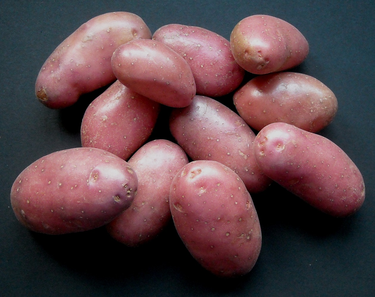 Сорта розовой картошки. Ред Скарлет, Беллароза:. Сорт картофеля Беллароза. Картофель семенной Беллароза.