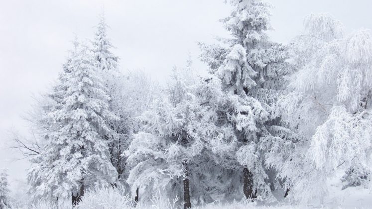 Оракул сонник снег