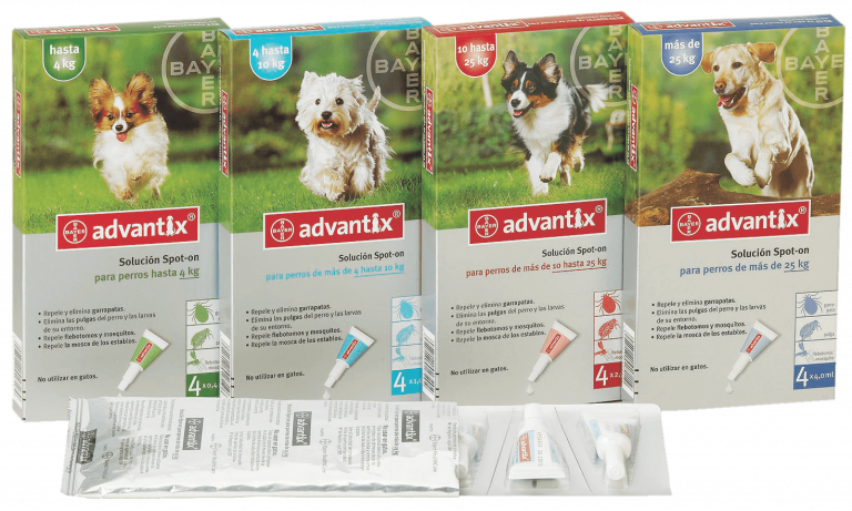 Средства от клещей для собак: эффективные препараты и народные средства