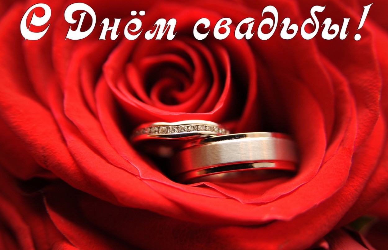 Поздравления с золотой свадьбой красивые стихи
