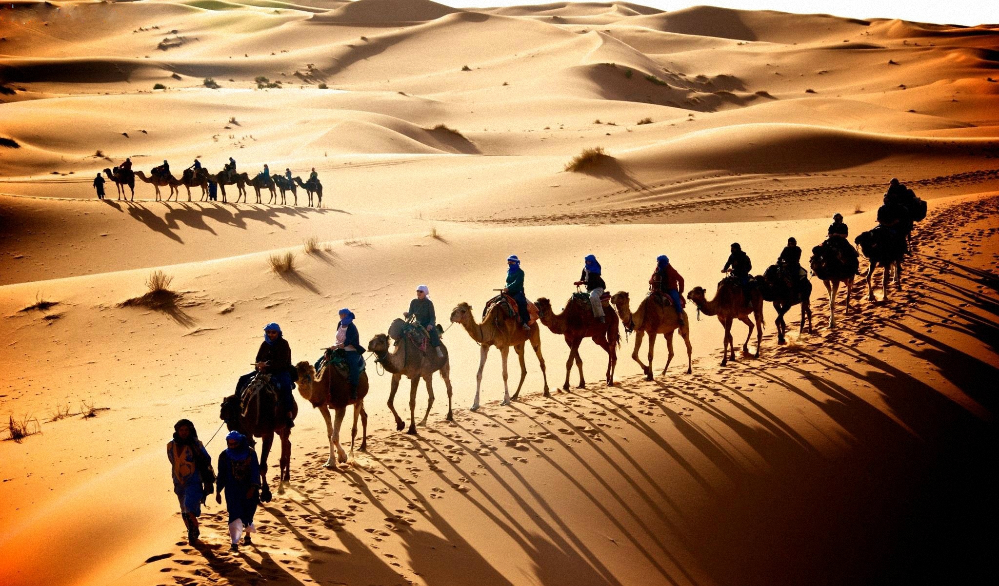 Караван до скольки. Верблюд Караван шелковый путь. Великий шелковый путь Караван. Караван верблюдов в пустыне.