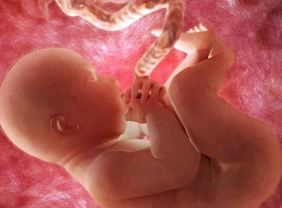Внутриутробная жизнь ребенка. Плод на 33 неделе беременности. 33 Недели беременности фото плода. Ребёнок в 30 недель беременности.