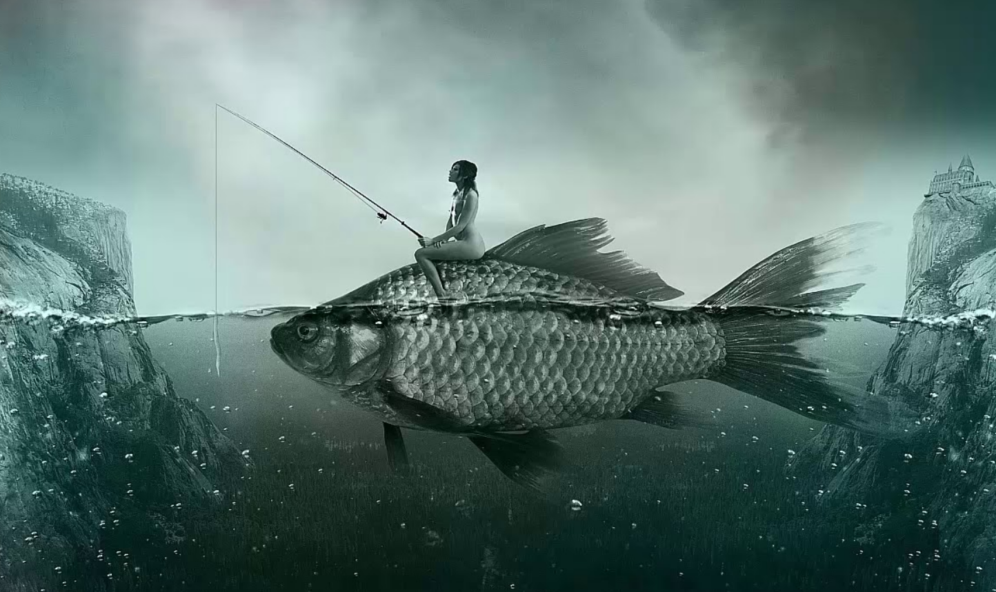 Ловить рыбу во сне к чему снится. Рыбы и рыбалка. Верхом на рыбе. Рыбалка арт. Фон рыбалка.