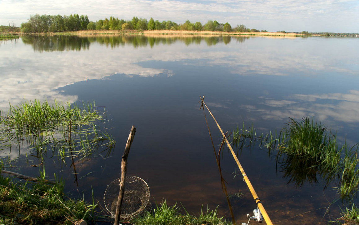Вепревское озеро Ярославская область. Природа рыбалка. Удочка на берегу реки. Рыба в озере. Рыбалка река рыбная