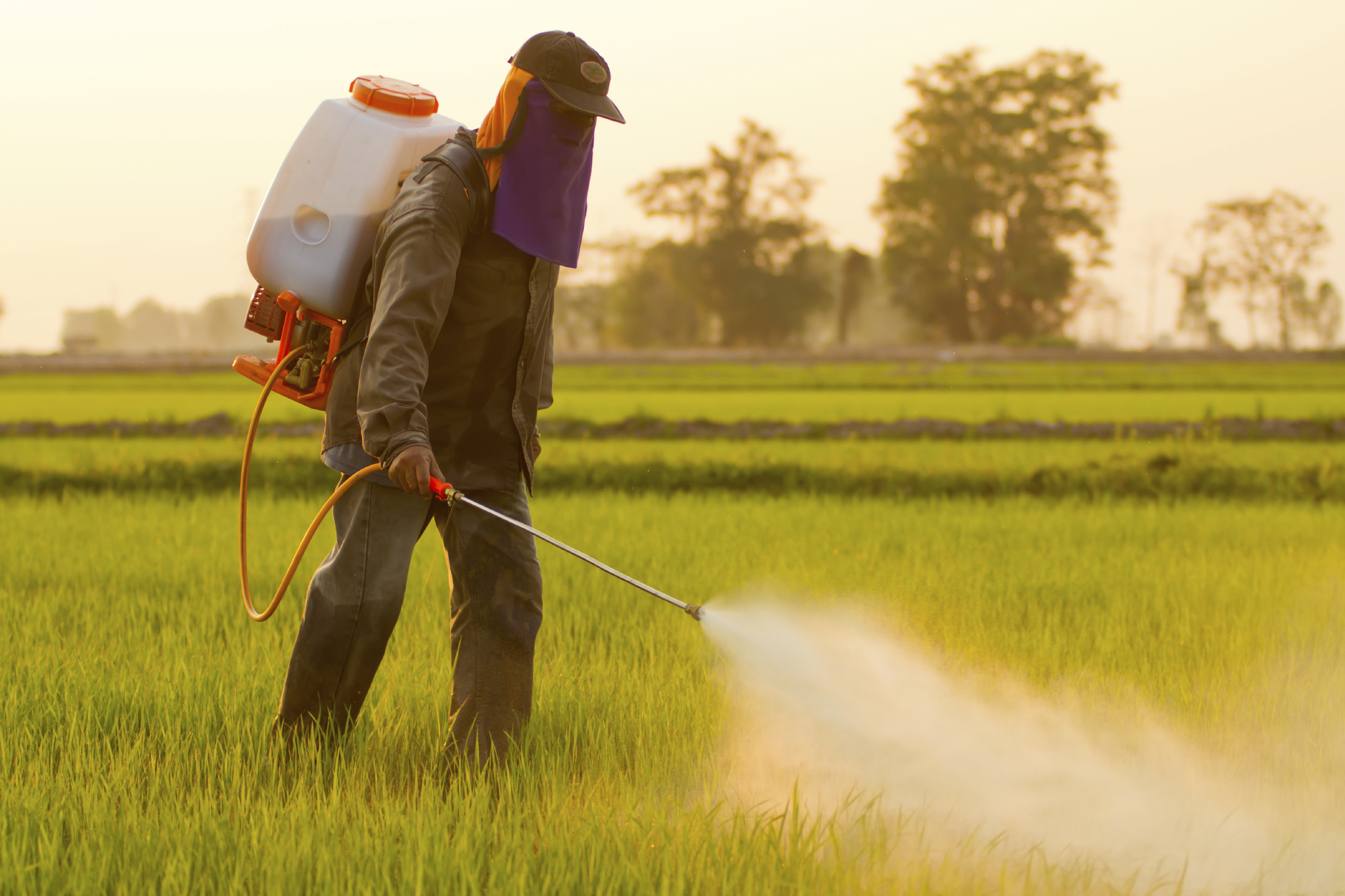 Влияние пестицидов на растения