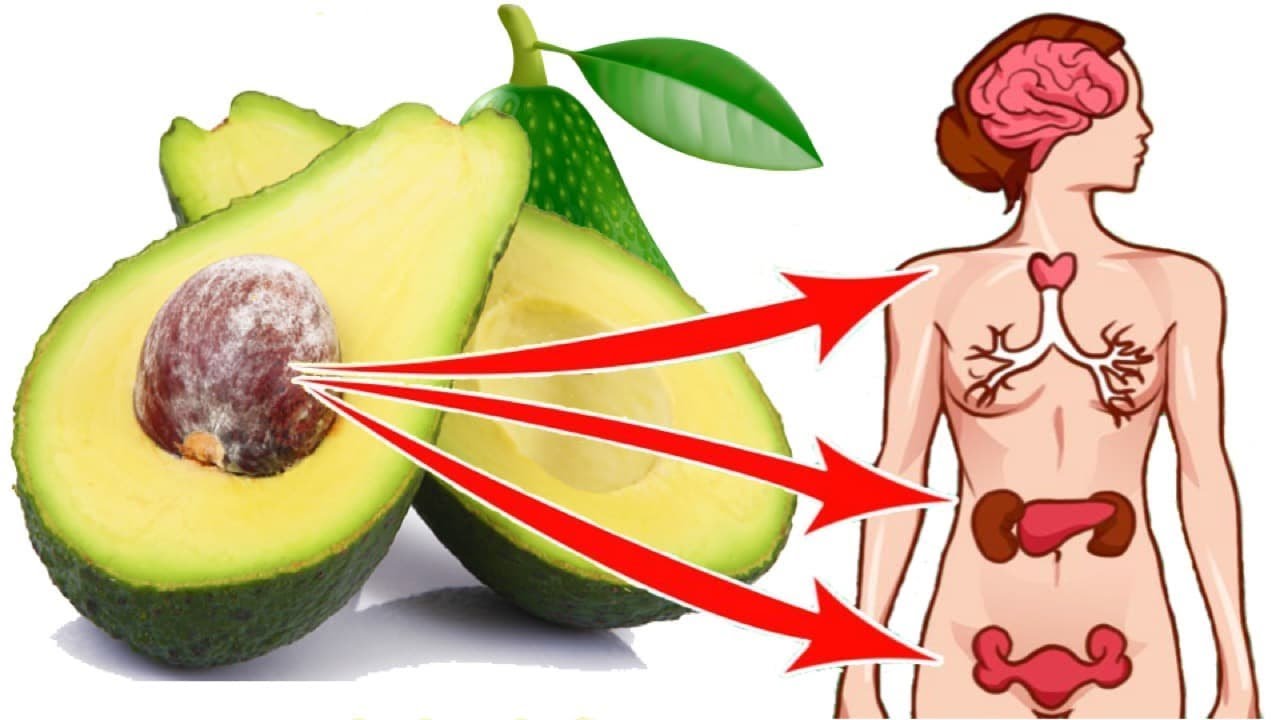 Почему нельзя авокадо. Полезность авокадо для женщин. Что полезного в авокадо для женщин. Авокадо полезно для организма. Авокадо полезное для организма.