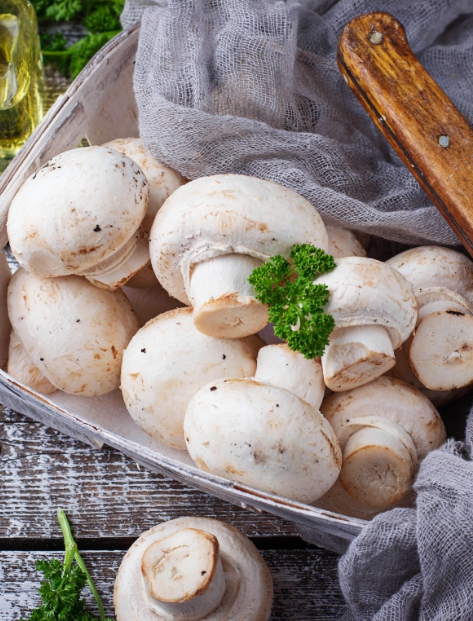 Правила и сроки хранения свежих грибов в холодильнике