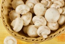 Какие грибы можно замораживать, а какие не стоит